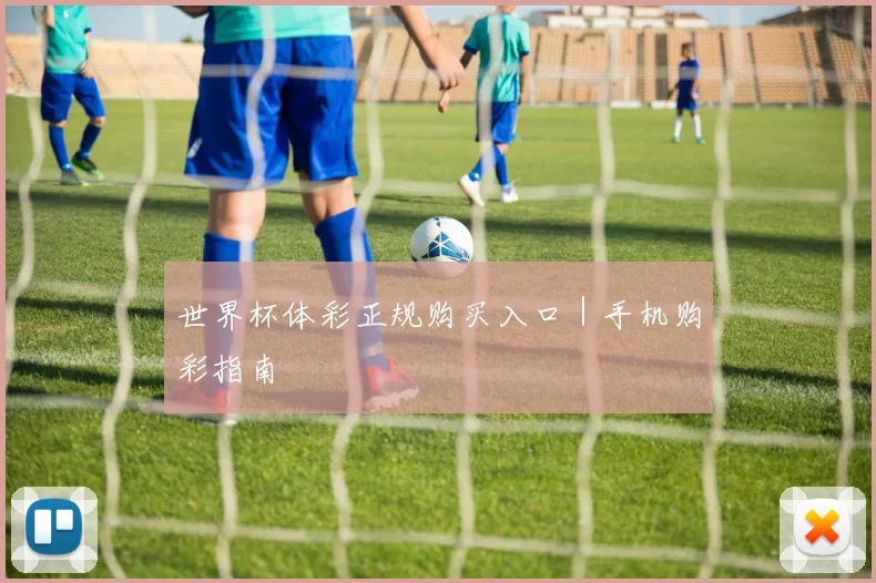 世界杯体彩正规购买入口｜手机购彩指南