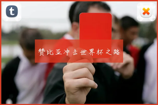 赞比亚冲击世界杯之路
