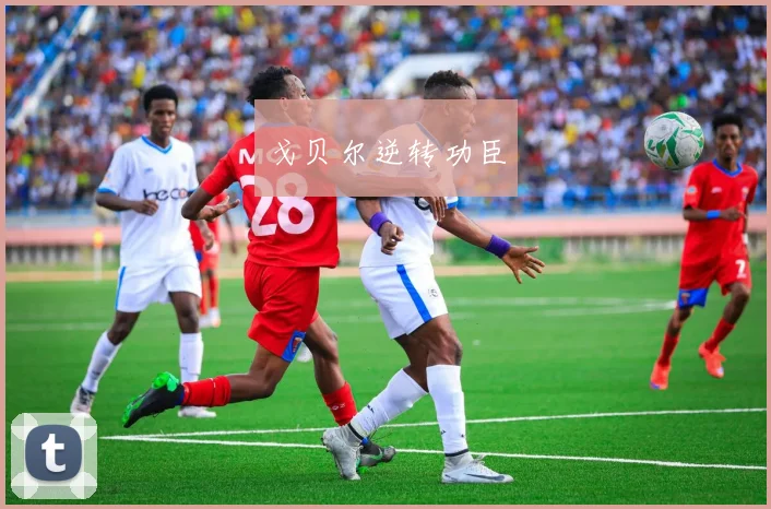 戈贝尔逆转功臣