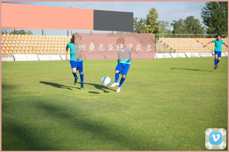 坦桑尼亚稳守反击