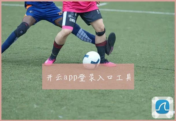 开云app登录入口工具