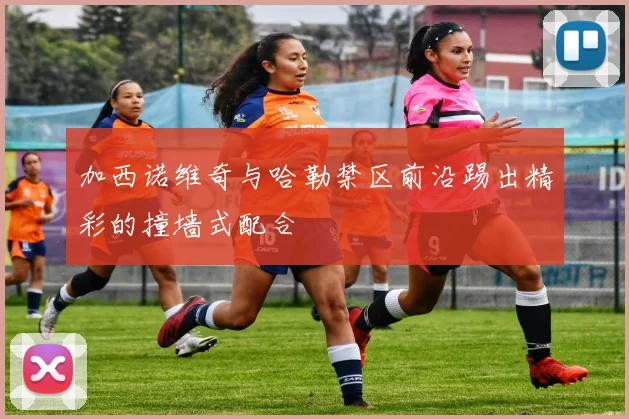 加西诺维奇与哈勒禁区前沿踢出精彩的撞墙式配合