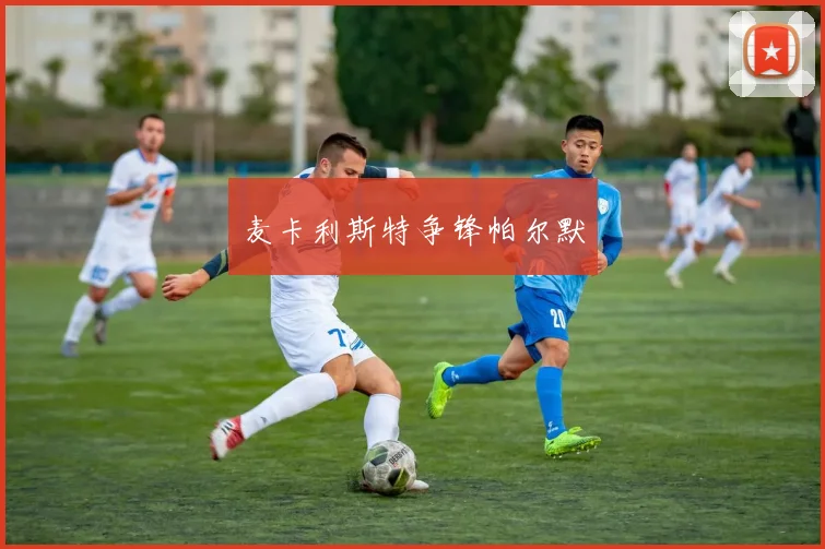 麦卡利斯特争锋帕尔默