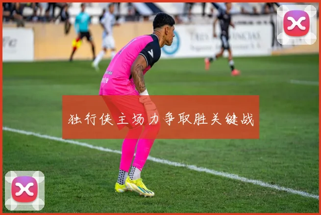 独行侠主场力争取胜关键战
