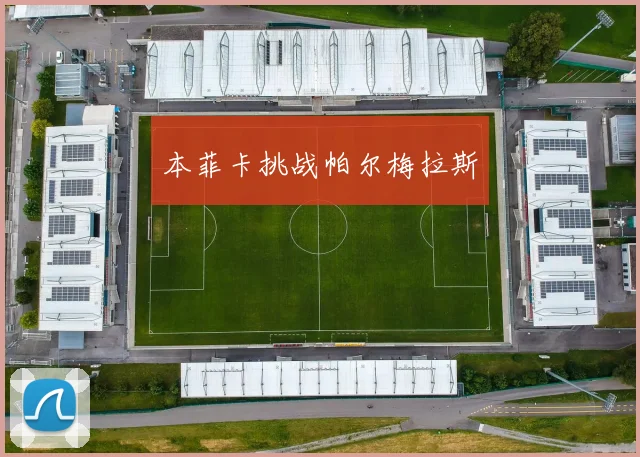 本菲卡挑战帕尔梅拉斯