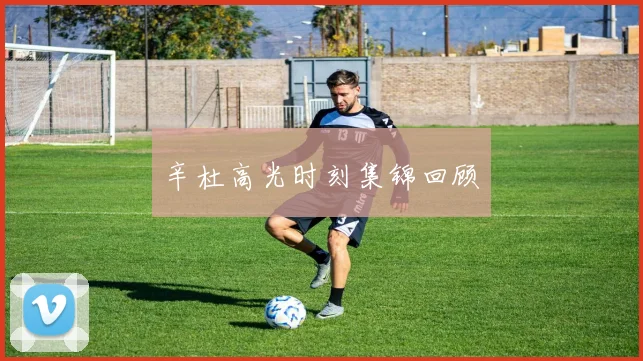辛杜高光时刻集锦回顾