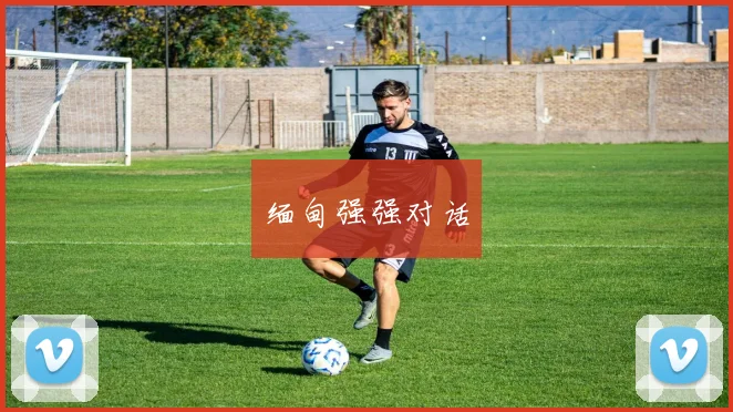 缅甸强强对话