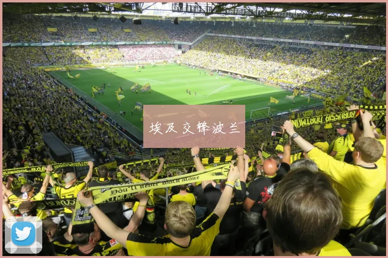 埃及交锋波兰