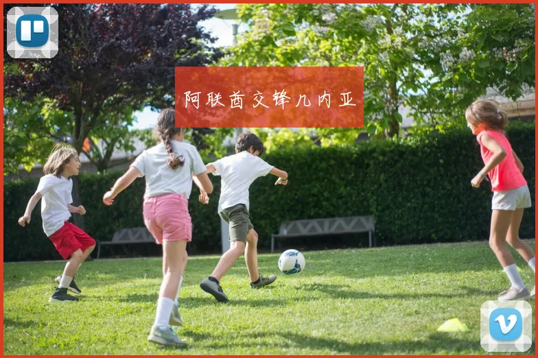 阿联酋交锋几内亚
