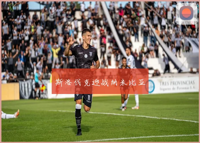 斯洛伐克迎战纳米比亚