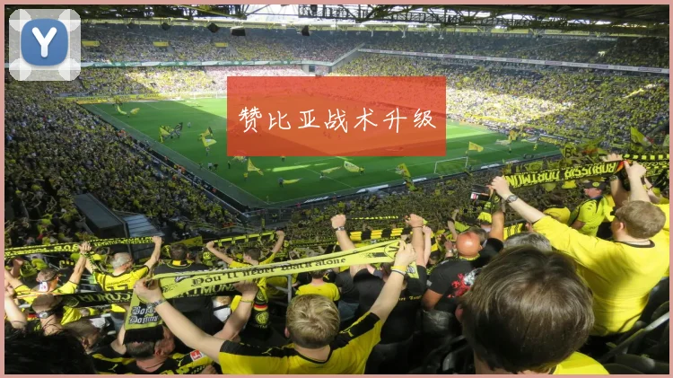 赞比亚战术升级