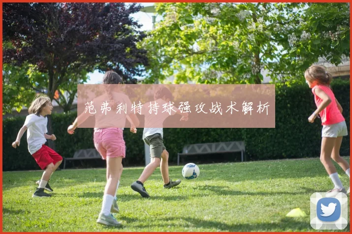 范弗利特持球强攻战术解析