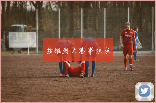兹维列夫赛事焦点