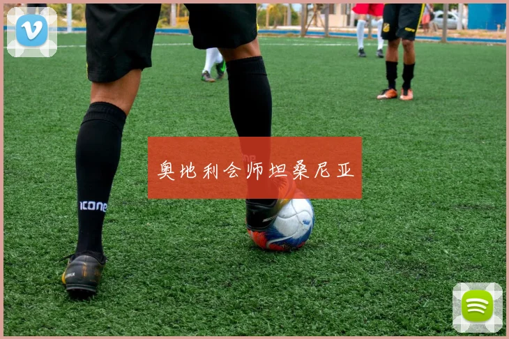 奥地利会师坦桑尼亚