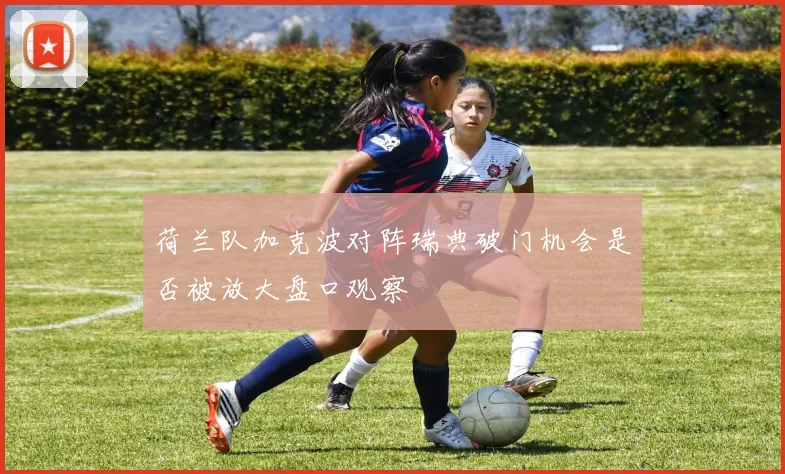 荷兰队加克波对阵瑞典破门机会是否被放大盘口观察