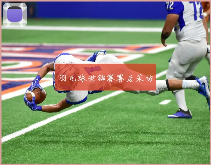 羽毛球世锦赛赛后采访