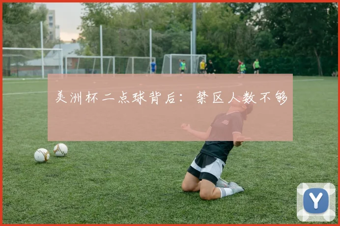 美洲杯二点球背后：禁区人数不够