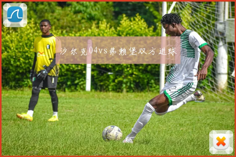 沙尔克04vs弗赖堡双方进球