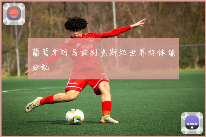 葡萄牙对乌兹别克斯坦世界杯体能分配