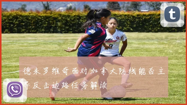 德米罗维奇面对加拿大防线能否主导反击边路任务解读