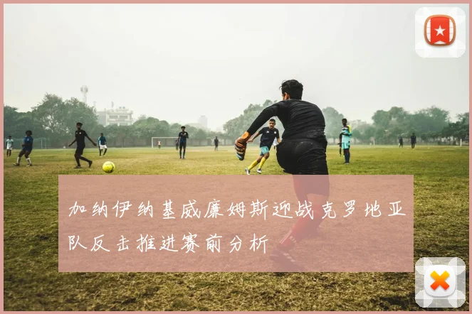 加纳伊纳基威廉姆斯迎战克罗地亚队反击推进赛前分析
