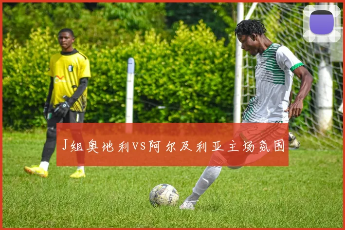 J组奥地利vs阿尔及利亚主场氛围