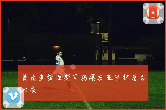 费南多努涅斯同场爆发亚洲杯看台炸裂