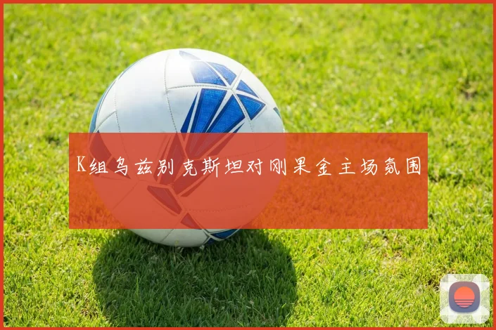 K组乌兹别克斯坦对刚果金主场氛围