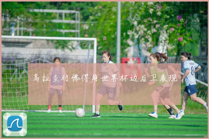乌拉圭对佛得角世界杯边后卫表现