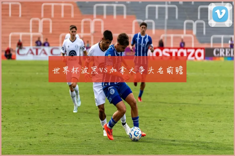 世界杯波黑vs加拿大争头名前瞻