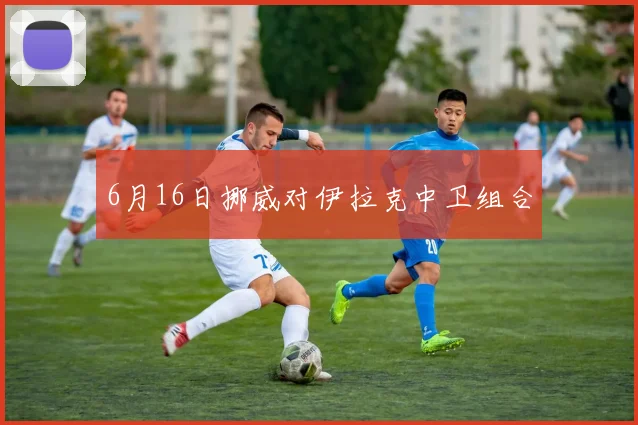 6月16日挪威对伊拉克中卫组合